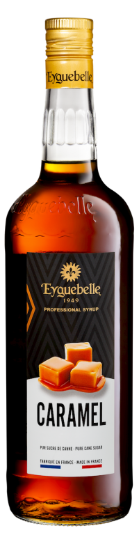 Caramel Professional Syrup