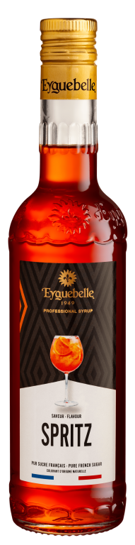 Spritz Professional Syrup