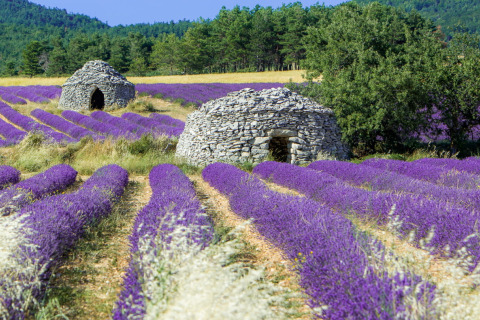 Visiting the Drôme Provençale: Must-see guide