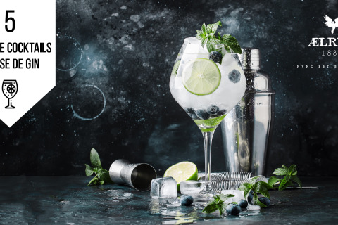 5 cocktails à base de Gin Fieldfare